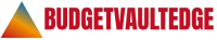 Logo budgetvaultedge.com